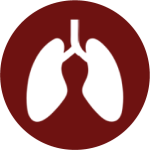 1744781924_Icon 14.png